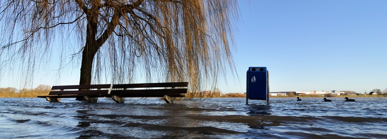 Overstroming in het park waardoor bankjes boom en prullenbak in het water staan